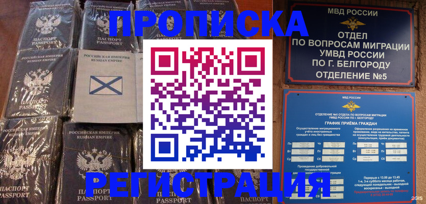 прописка гарантия в Алексеевке